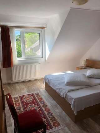 Загородные дома Pensiunea Simona Бран Двухместный номер с 1 кроватью-2