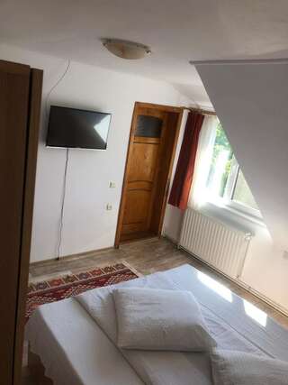 Загородные дома Pensiunea Simona Бран Двухместный номер с 1 кроватью-3